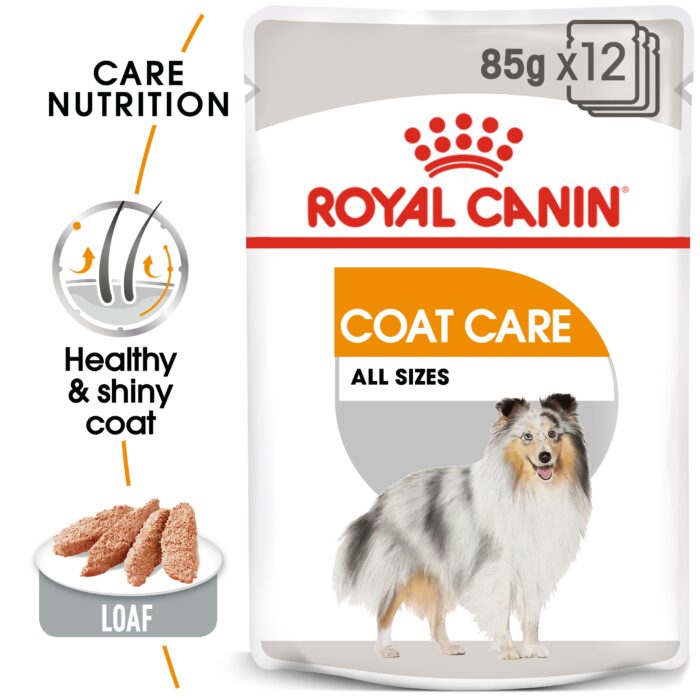 ROYAL CANIN Coat Care All Sizes