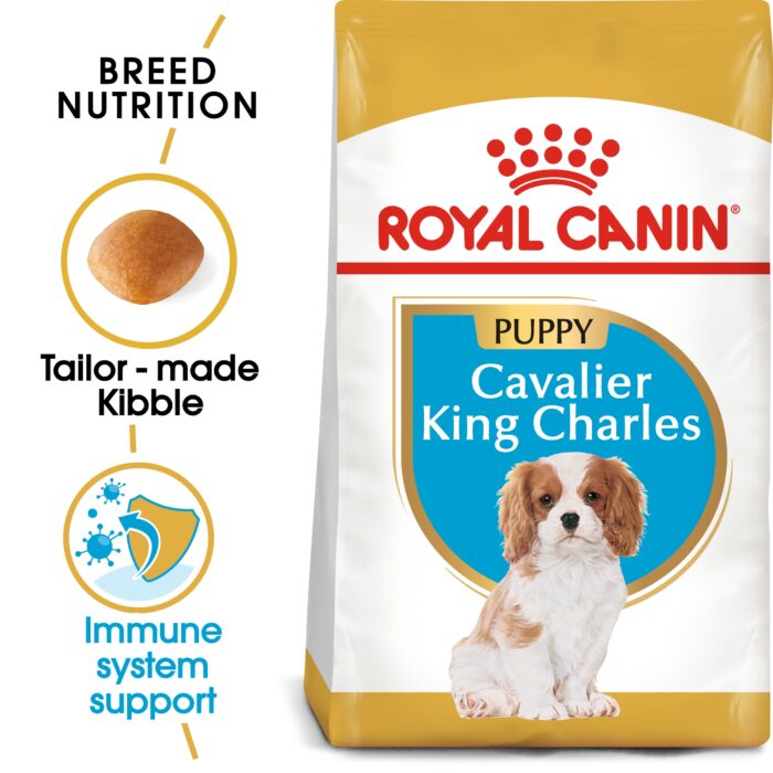 ROYAL CANIN Cavalier King Charles Puppy