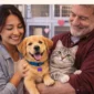 Adopt Dont Shop home 85x85