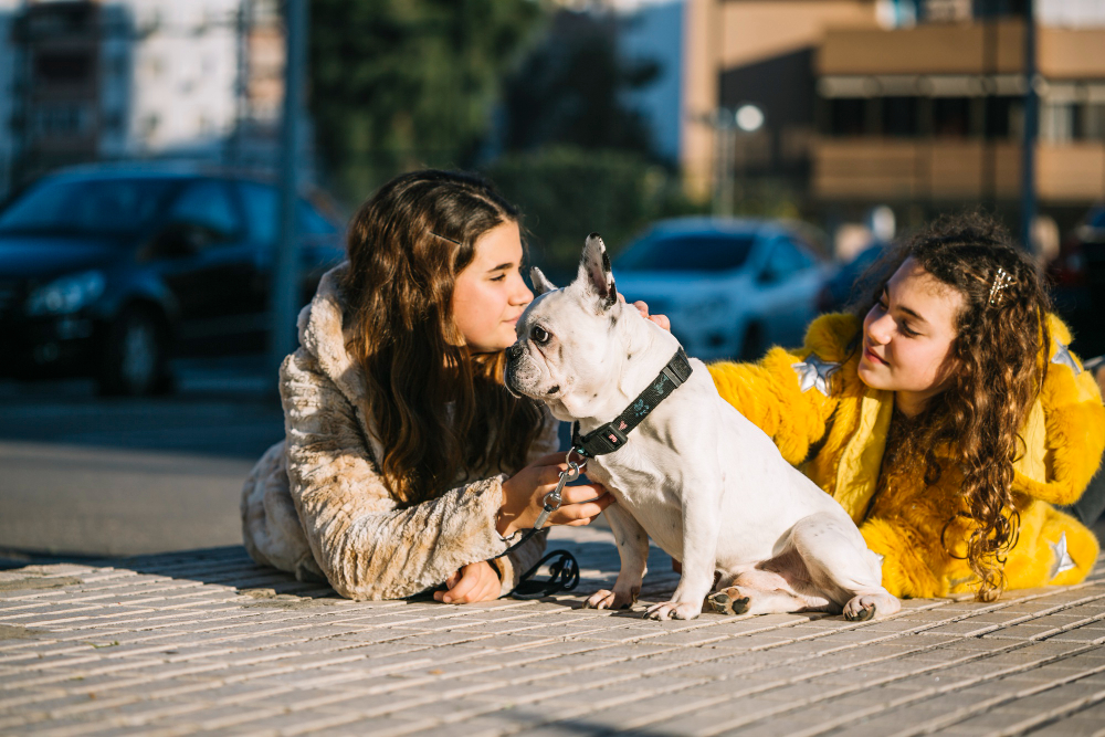 Pet Training in Dubai
