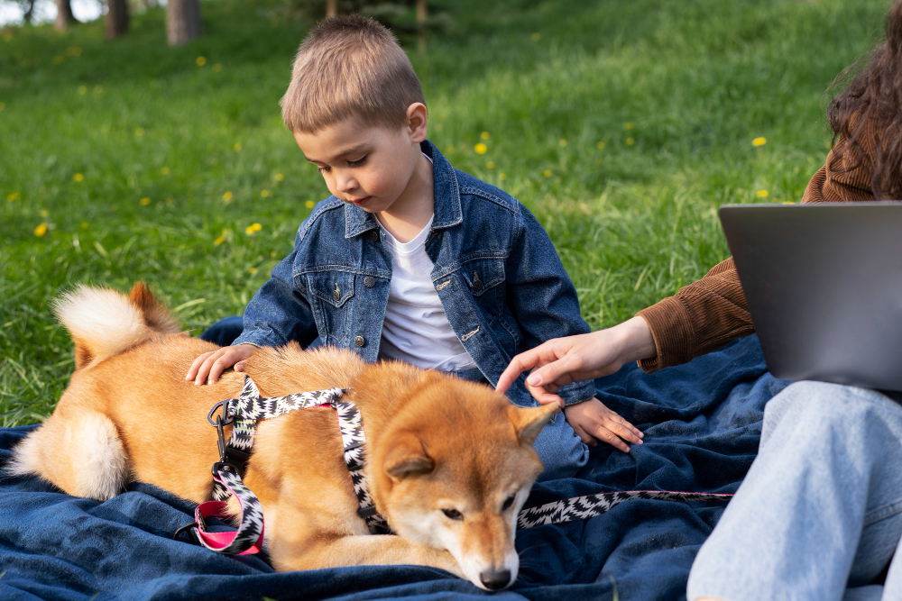 Best Dog Daycare Dubai
