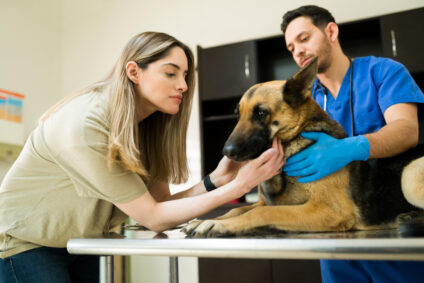 Pet Care