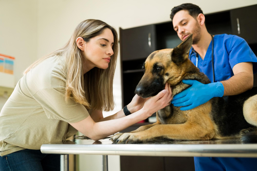 Pet Care