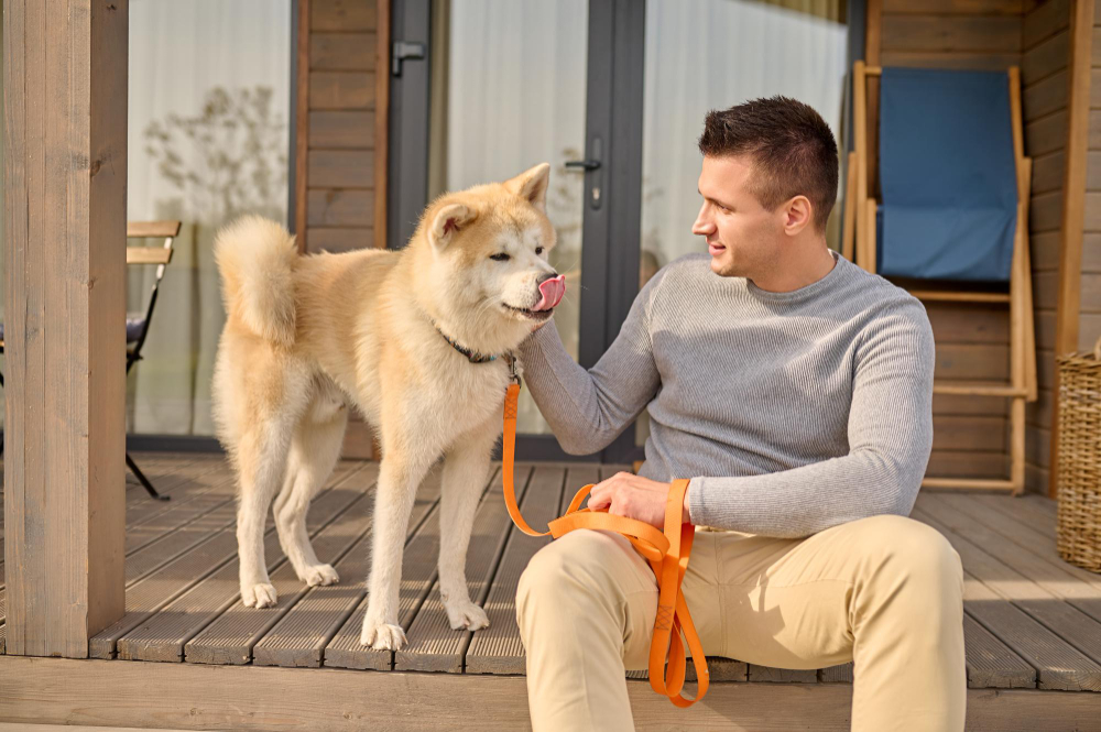 Puppy Training Dubai