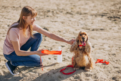 How Dubai's Summer Heat Affects Your Pet's Skin and Coat