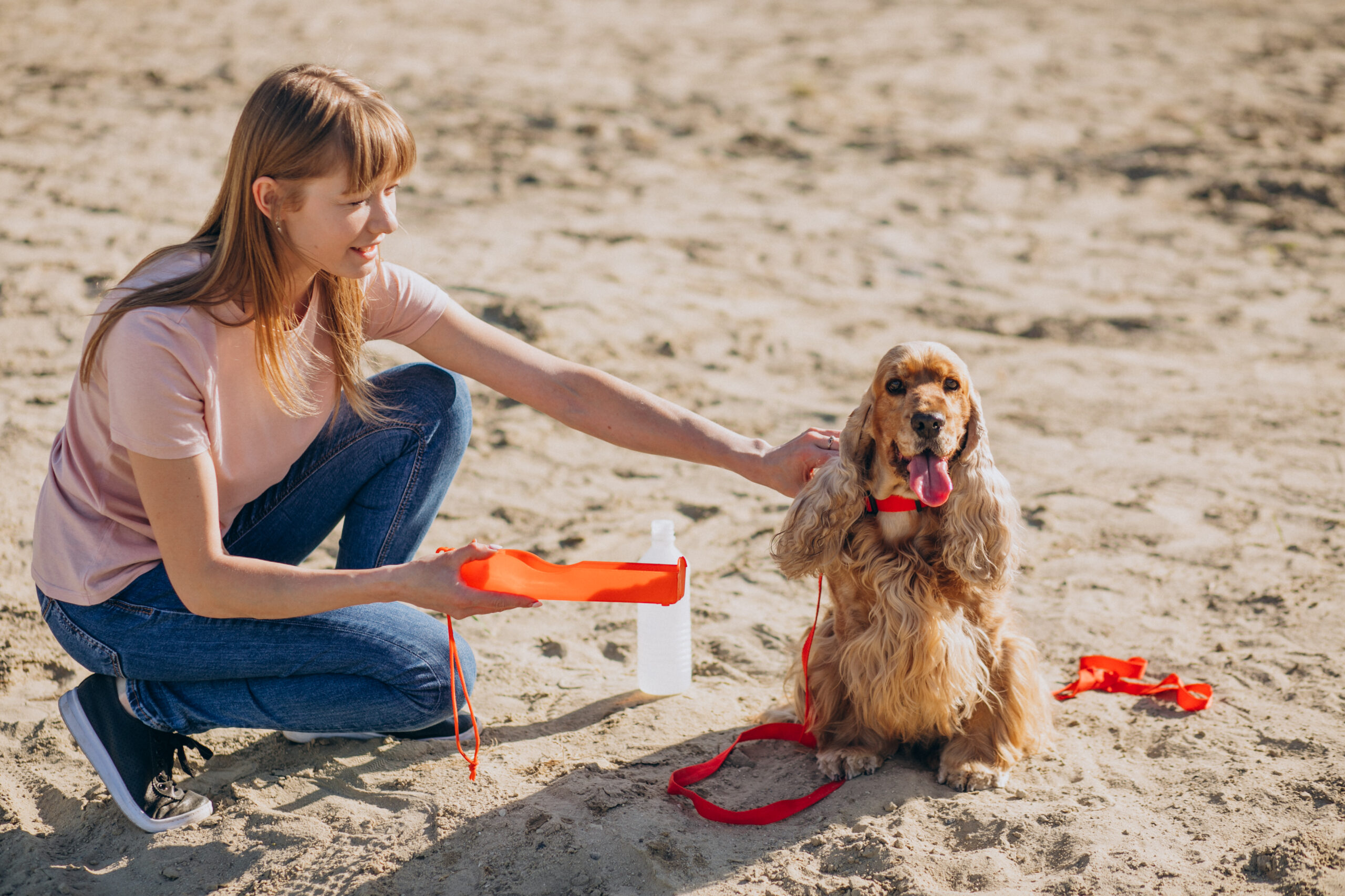 How Dubai's Summer Heat Affects Your Pet's Skin and Coat