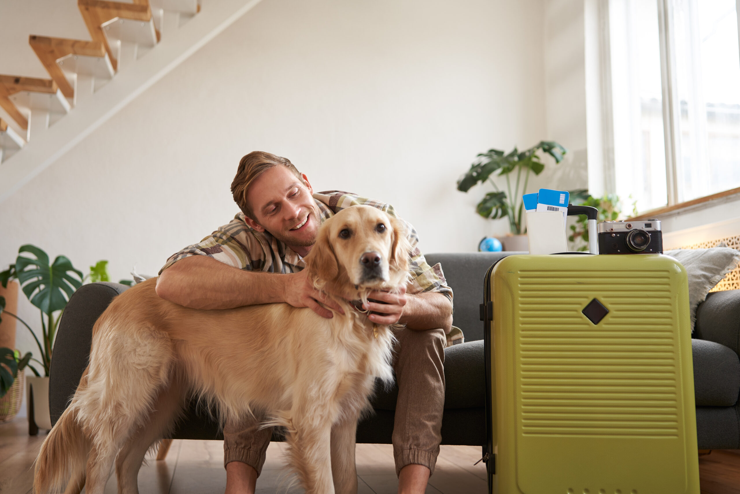 How Pet Relocation Services in Dubai Make Travel Easier for Pets