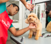 Pet Spa Day in Dubai